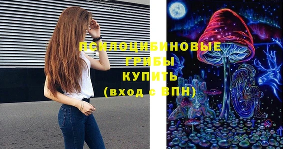 твердый Алексеевка