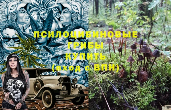 прущий лед Алзамай