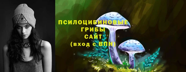 твердый Алексеевка