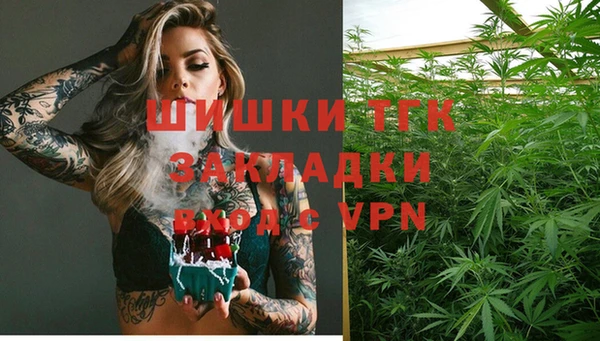 прущий лед Алзамай